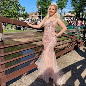 Elegant Pink Evening Prom Gown